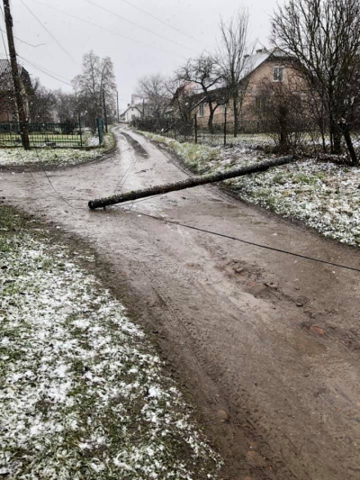 На Тернопільщині посеред вулиці впав електричний стовп (фотофакт)