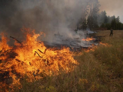 На Тернопільщині - масові пожежі в екосистемах