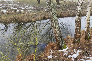 У ріці на Тернопільщині виявили тіло чоловіка