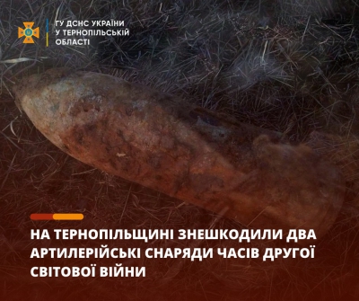 У полі на Тернопільщині місцеві жителі виявили дві ручні гранати