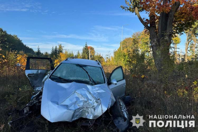 ДТП неподалік Тернополя: автомобіль виїхав на узбіччя і врізався у дві електроопори