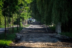 У тернопільському парку нарешті приступили до доріжок