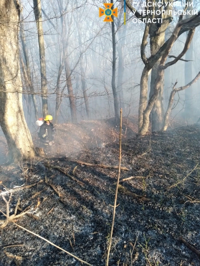 Під час спалювання сухої трави на Тернопільщині загорілися лісові масиви та господарська будівля