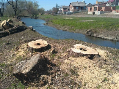 У селі поблизу Тернополя знищено 80 дерев