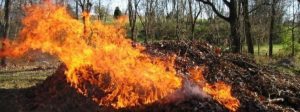 Тернополян просять не спалювати суху траву