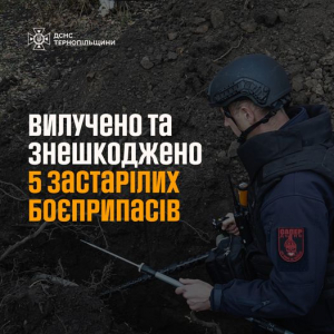 На Тернопільщині рятувальники вилучили та знешкодили п&#039;ять боєприпасів
