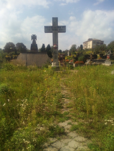 На Тернопільщині шлях до могил Героїв заріс бур’янами (фотофакт)