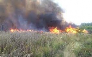 Під час спалювання сміття та сухої трави загинула мешканка Тернопільщини