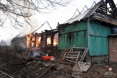 На Тернопільщині у хліві згоріла свійська тварина