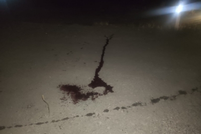 На Тернопільщині водій легківки збив жінку