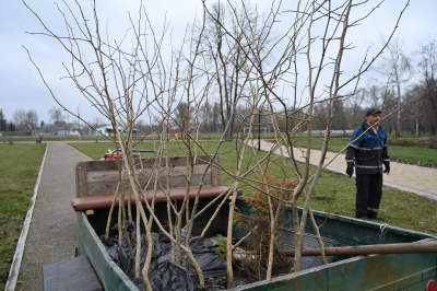 У парку на Тернопільщині висадили близько 100 саджанців рослин