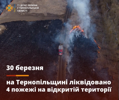 На Тернопільщині рятувальники ліквідували чотири пожежі сухої трави