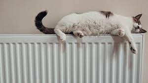 Як тернополянам зменшити теплові витрати в домівках та що робити, коли зникне опалення?
