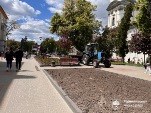 У центральній частині Тернополя висаджують літні квітники