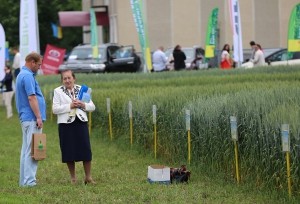 Провідні аграрії переймали досвід на «Дні поля та саду» від «Бучачагрохлібпрому» Петра Гадза (фоторепортаж)