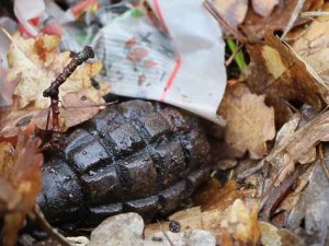 Майже півтисячі вибухівок знайшли на Тернопільщині