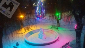У райцентрі на Тернопільщині фонтан засвітився різноманітними кольорами (фото)