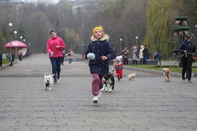Коти, собаки і хом’як: у Тернополі провели забіг з домашніми улюбленцями (фоторепортаж)