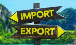 Найбільше імпорту на Тернопільщину надійшло з Польщі та Німеччини
