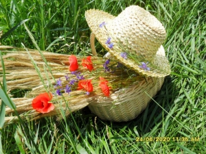 Жителька Тернопільщини плете капелюхи з жита, яке вирощує власноруч (фото)