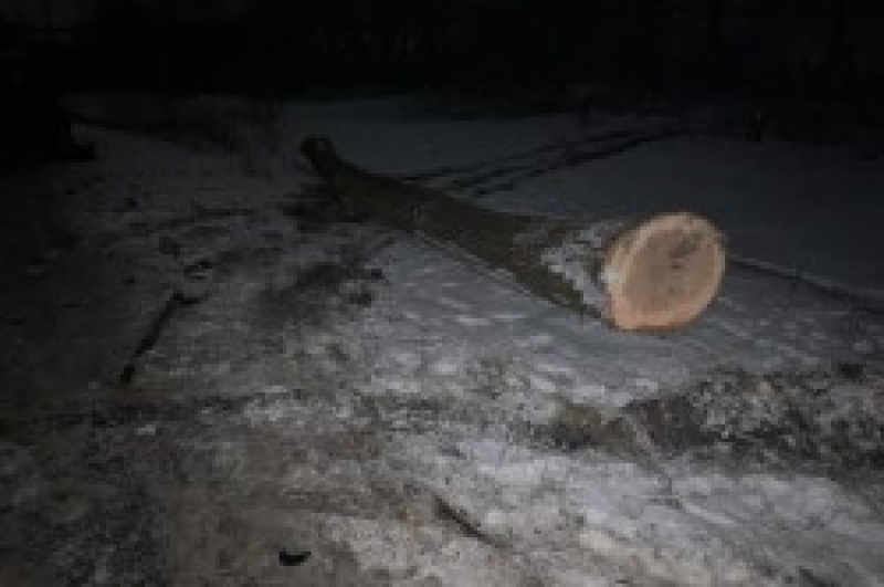 Оперативники Тернопільщини встановили особу тракториста, який втік з місця ДТП