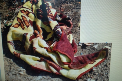 У Борщові на сміттєзвалищі знайшли мертве немовля