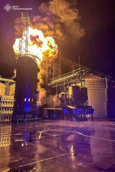 Масштабна нічна пожежа: на Тернопільщині рятувальники ліквідовували загоряння зерносушки