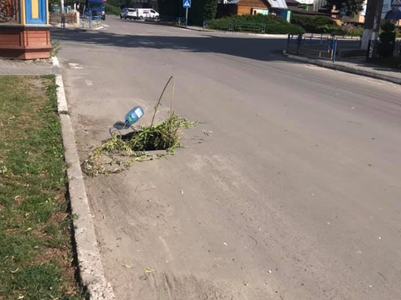 На Тернопільщині у яму на дорозі «посадили» дерево (фотофакт)