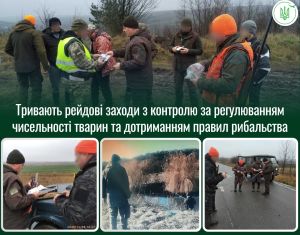 На Тернопільщині триває перевірка порушень у сфері охорони довкілля