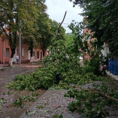 Зірвані дахи та поламані дерева: на Тернопільщині вчора вирувала негода (фото)
