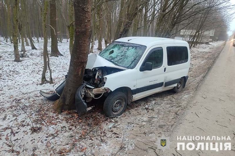 У Тернопільській області п&#039;яний водій не впорався з керуванням і потрапив у ДТП