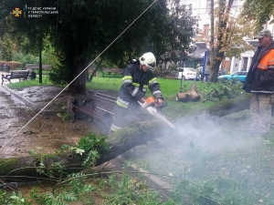 Підтоплені підвали та повалені дерева: на Тернопільщині рятувальники ліквідували наслідки негоди