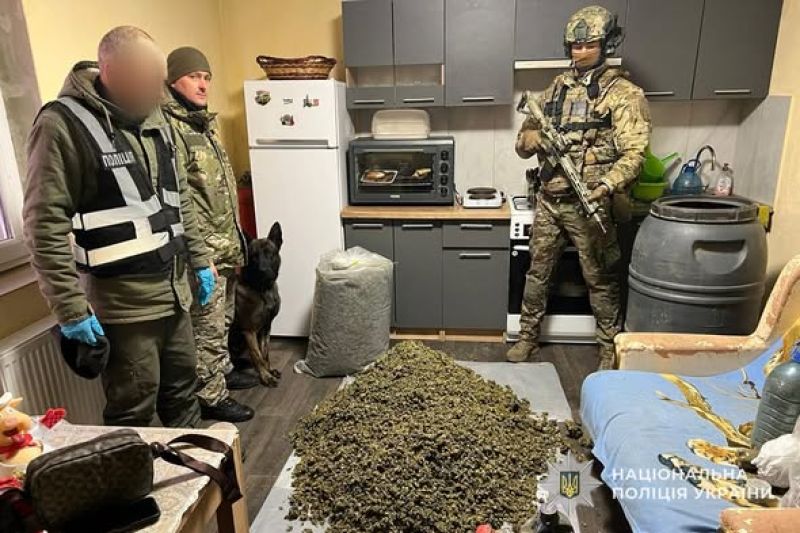 На Тернопільщині ліквідували нарколабораторію: вилучили канабісу на понад 9 мільйонів гривень