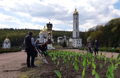 У святині на Тернопільщині висадили символ вічної надії