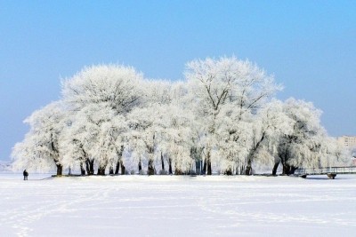 Місто у кадрі: зима