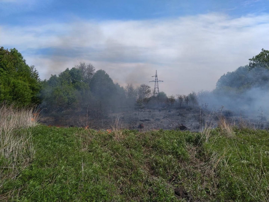 На Тернопільщині щодня фіксують велику кількість пожеж, спричинених спалюванням сухостою