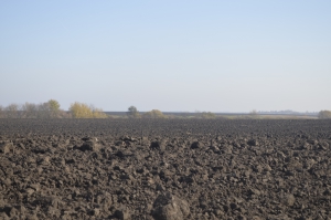 На Тернопільщині землі навчального закладу опинилися у власності фермерського господарства