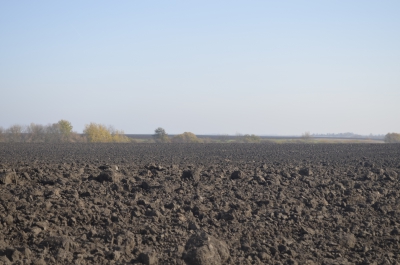 На Тернопільщині землі навчального закладу опинилися у власності фермерського господарства