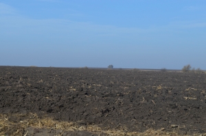 На Тернопільщині прокуратура вимагає у підприємця звільнити земельні ділянки, вартістю понад 21 млн грн