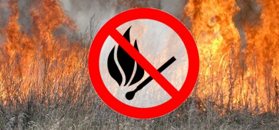 Тернопільські пожежники закликають не спалювати післяжнивні залишки на полях