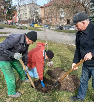 У Чорткові висадили дерево у пам&#039;ять про відомого діяча Олега Борового