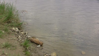 Тернопільщина: на дні річки Серет водолази виявили шість боєприпасів