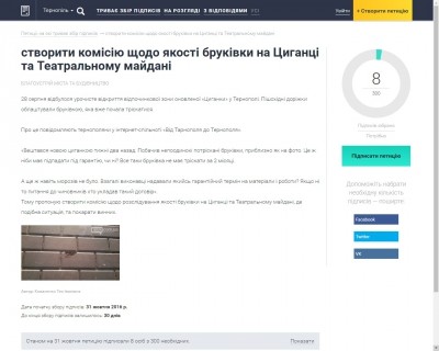 Перевірити бруківку на якість пропонують теронопляни