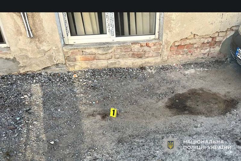 Тернополянку, яка вбила свою 2-річну доньку, визнали неосудною