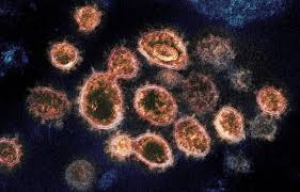 У 10-ти тернополян виявили антитіла до нового коронавірусу