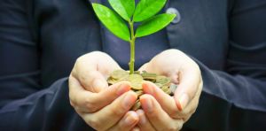 Понад 45 млн грн екологічного податку сплатили підприємства Тернопільщини