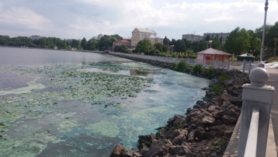 У Тернополі зацвіло та засмерділося озеро – винні водорості (фото)