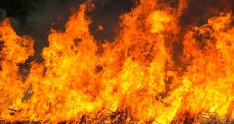 Під час пожежі на Тернопільщині загинула жінка
