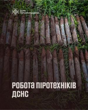 На Тернопільщині знищили 31 вибухонебезпечний предмет