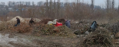 На Тернопільщині обрізане гілля дерев можна пожертвувати для опалення шкіл та садочків